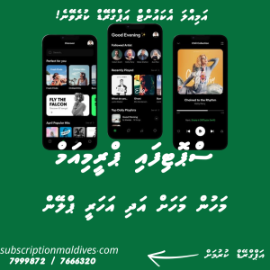 Spotify 12 Months