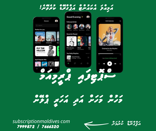 Spotify 12 Months