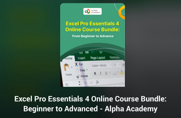Excel Pro Essentials 4 Online Course Bundle: Beginner to Advanced