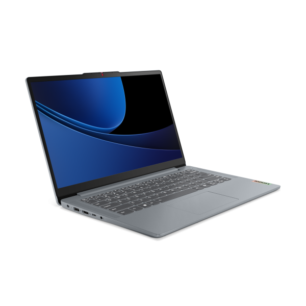 Lenovo IdeaPad Slim 3 14IRU9 Laptop (Silver)